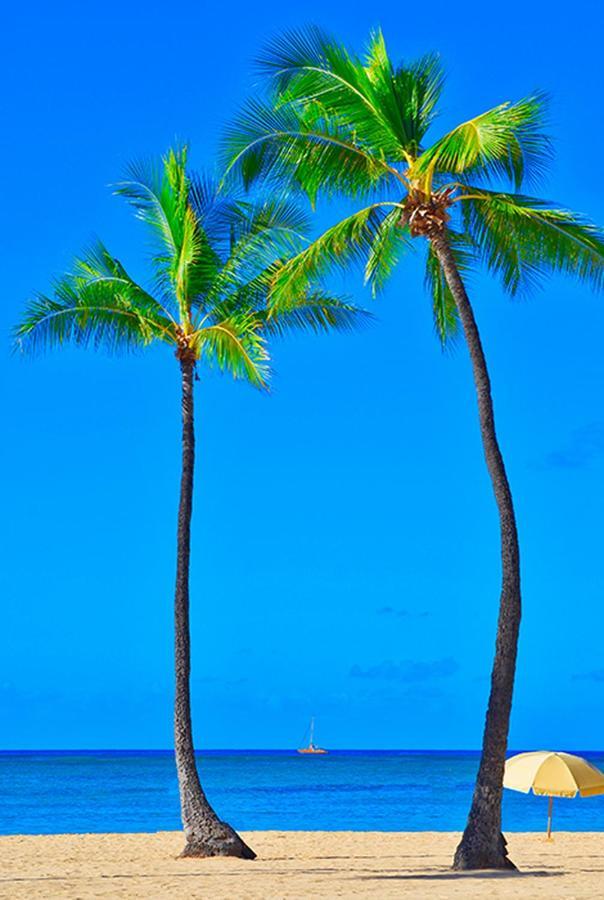 Gone 2 Florida Vacation Homes Four Corners المظهر الخارجي الصورة